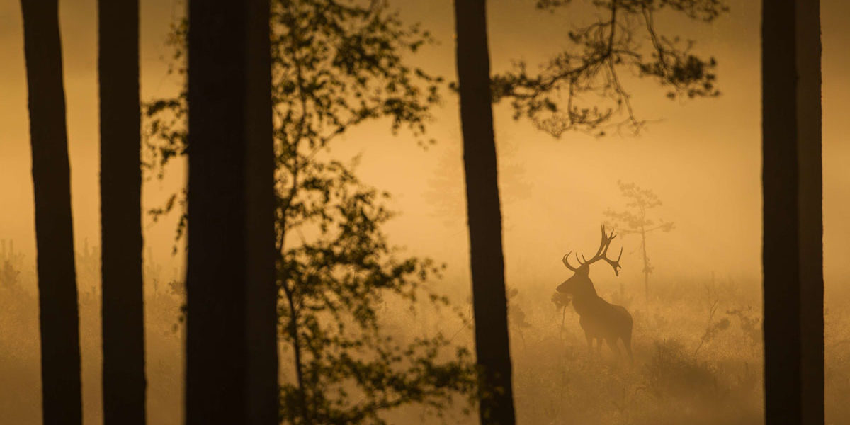 2015 Piękno miejsce 2 – Marek Klewiado